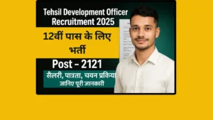 Read more about the article Tehsil Development Officer Recruitment 2025: 12वीं पास के लिए निकली तहसील विकास अधिकारी के पदों पर नौकरी जानिए पूरी जानकारी